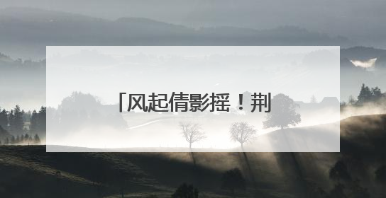 风起倩影摇！荆州“荷您有约”